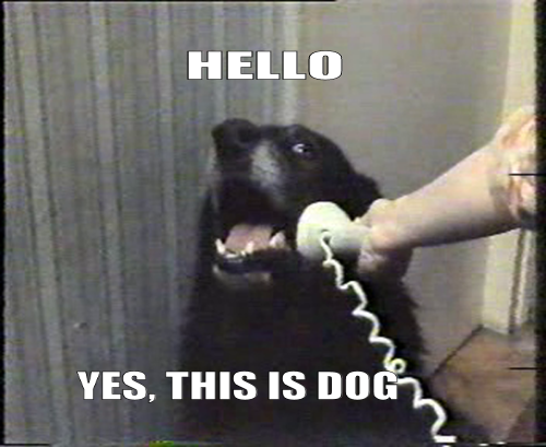 hello-this-is-dog